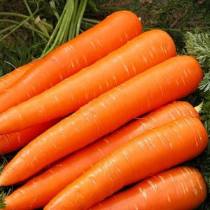Морковь Апперкат F1(1000000шт)