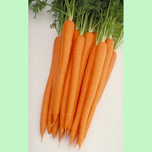 Морковь Ханиснэкс F1(1000000шт)