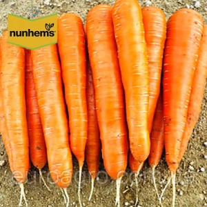 Морковь Элеганс F1 2,0-2,2 мм(1000000шт)