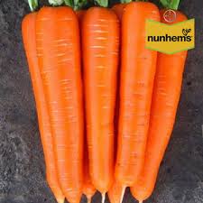 Морковь Брилианс F1 1,8-2,0 мм(100000шт)